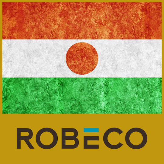Robeco Indian Equities: combinación de calidad con crecimiento de empresas pequeñas en India