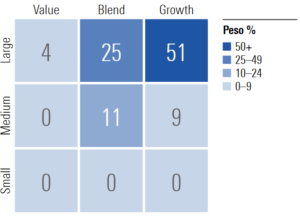 Capitalizacion fundsmith