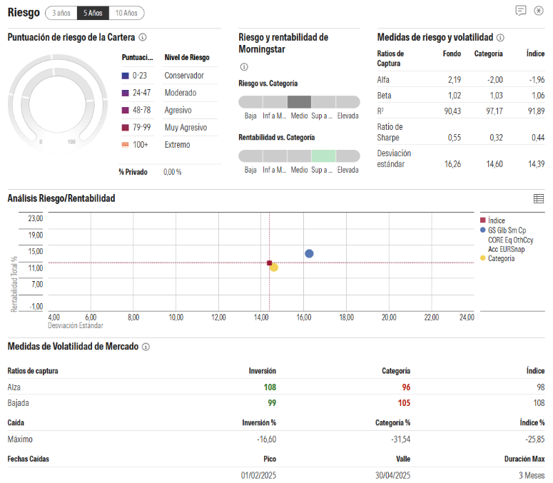 Goldman Sachs Global Small Cap CORE Equity Portfolio riesgo