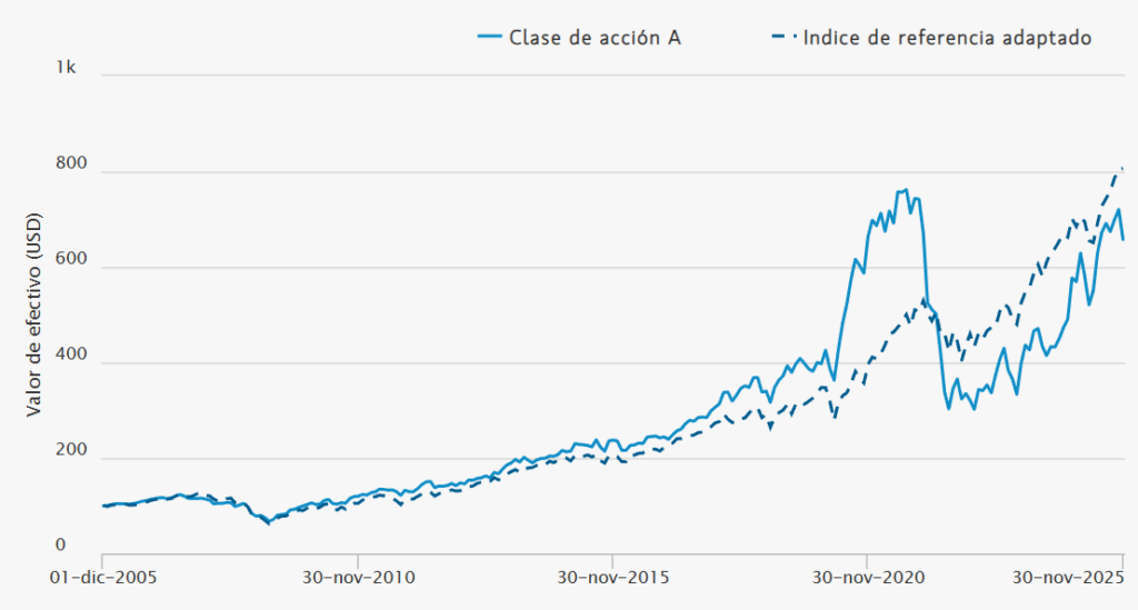 Rentabilidad Morgan Stanley US Advantage