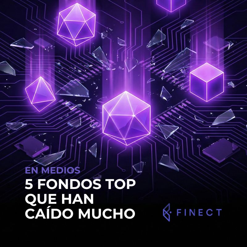 5 Fondos TOP que han caído mucho: ¿Se ha roto el Growth o es una oportunidad histórica?