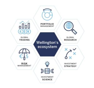 Imagen de los puntos clave que definen el buen hacer de la gestora wellington management