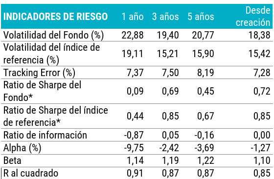 Resumen de los indicadores de riesgo del fondo, detallando su alta volatilidad, el Tracking Error, el Ratio de Sharpe y una Beta de 1,10.
