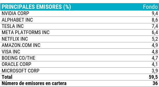 Lista de las 10 mayores posiciones en cartera del fondo Loomis US Growth, liderada por empresas tecnológicas de gran capitalización como Nvidia, Alphabet, Tesla y Meta.